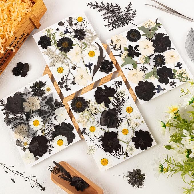 78 Pcs Black and White Dried Pressed Flowers - Image 3