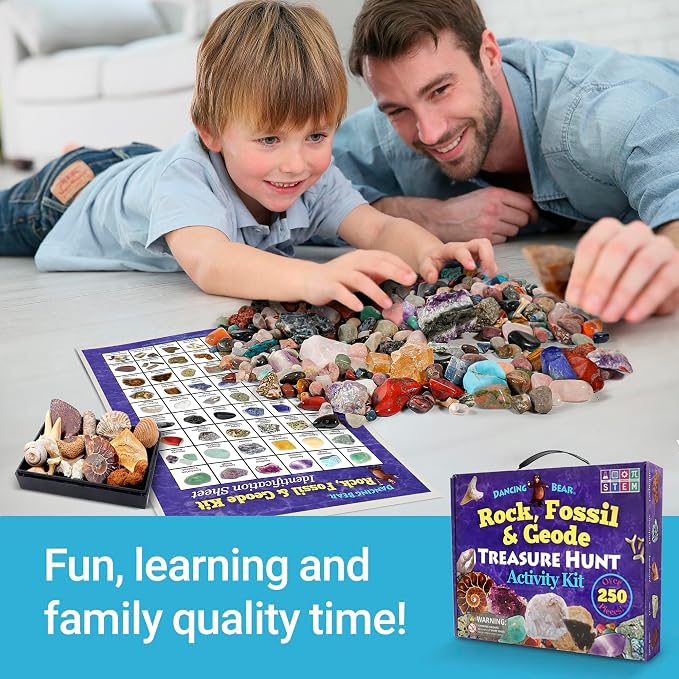 DANCING BEAR Rock, Mineral & Geodes Treasure Hunt Activity Kit Real Shark Teeth - Image 3