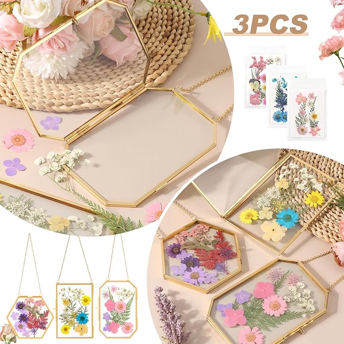 Lujechii 3 Pcs Double Glass Pressed Flower Frame, - Image 2