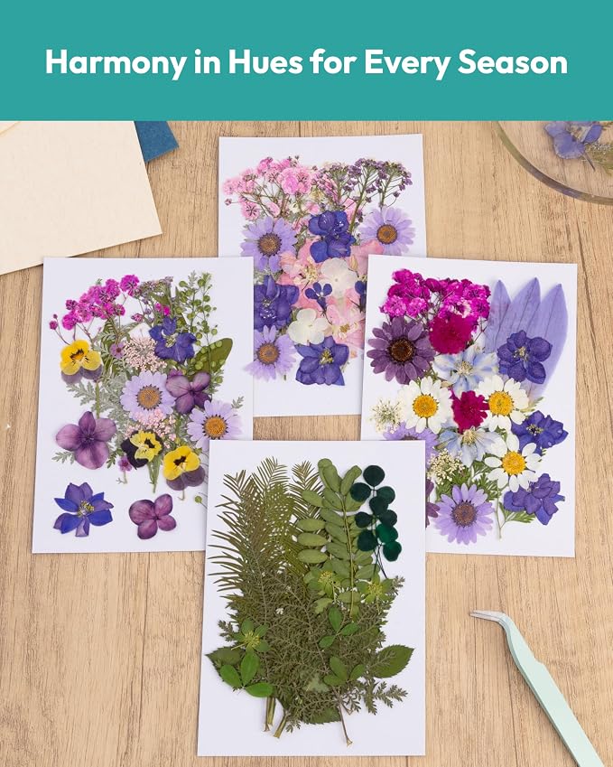 Dried Flowers, Resiners 100Pcs Pressed Flowers - Image 5
