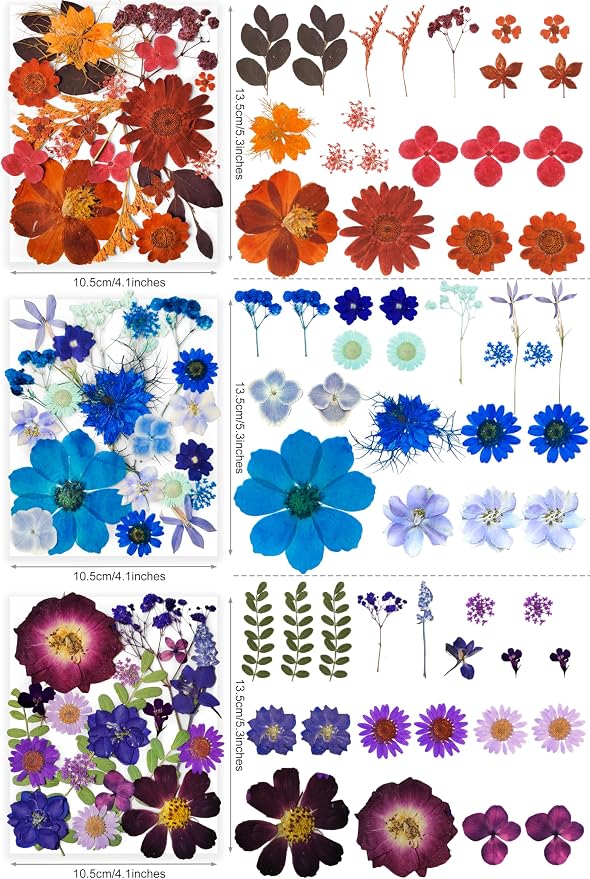 320PCS Dried Pressed Flowers Bulk - Image 4