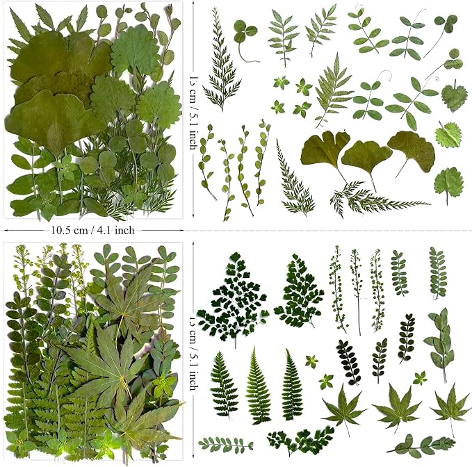 136Pcs Pressed Dried Leaves and Butterfly - Image 6