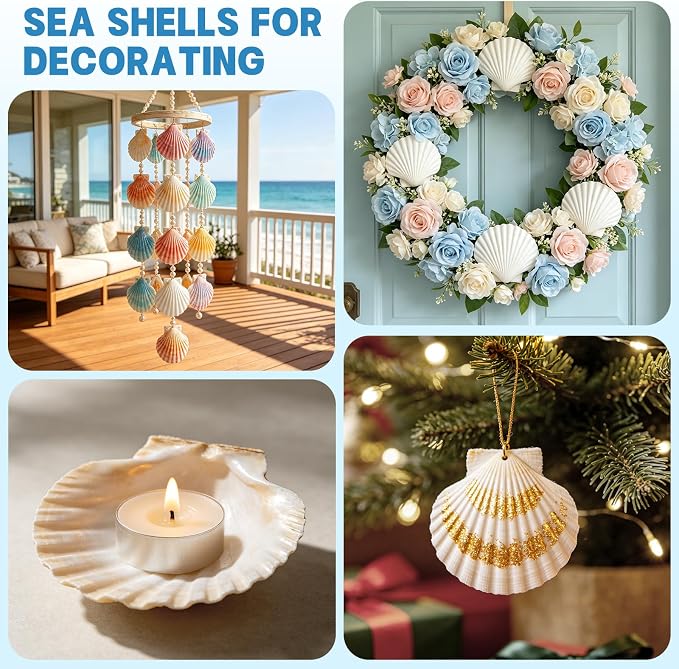 20 PCS Natural Scallop Shells for Crafts, 3-4 inches White Seashells for DIY - Image 5