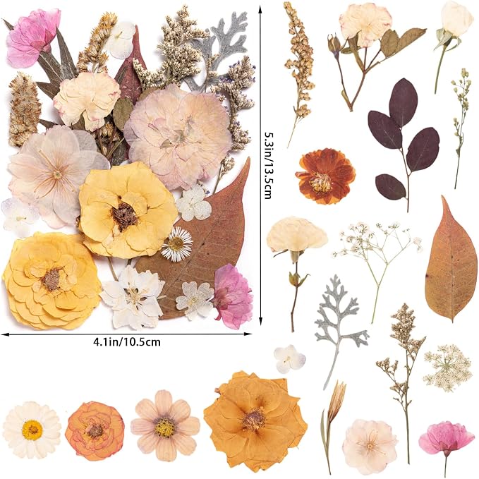 90pcs Boho Pressed Flowers Bulk, Vintage Dried Flower Leaves, Natural Fall - Image 2