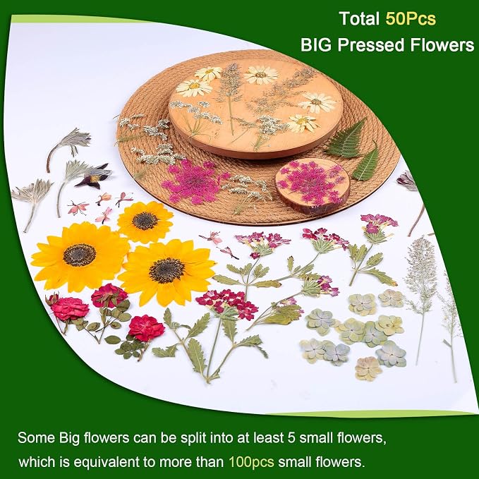 12“ Large Fall Dried Pressed Flowers - Image 3