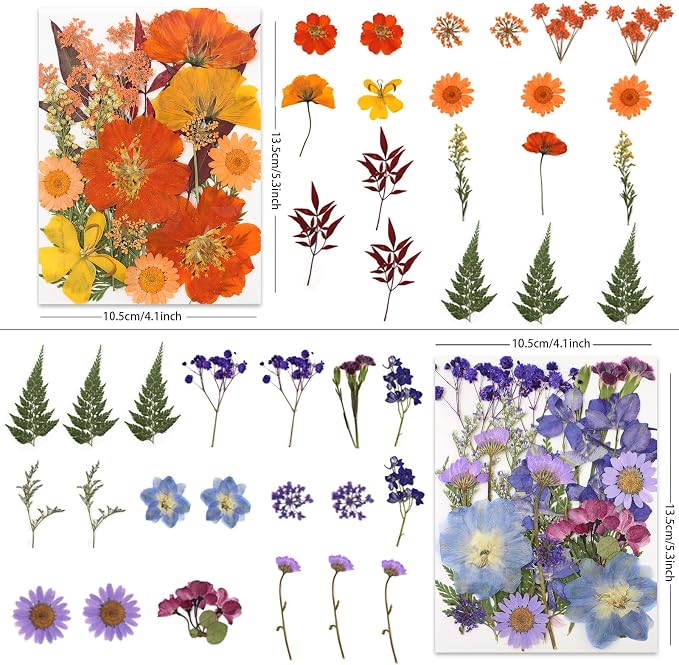 LUXEEASE 80P Vibrant Multicolor Dried Pressed Flowers | No matching needed - Image 3