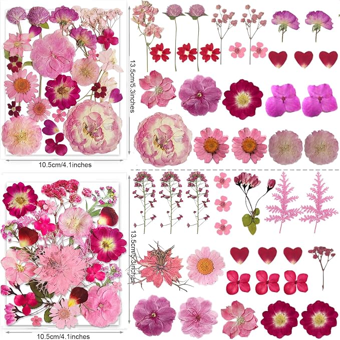 148PCS Pink Dried Pressed Flowers - Image 3