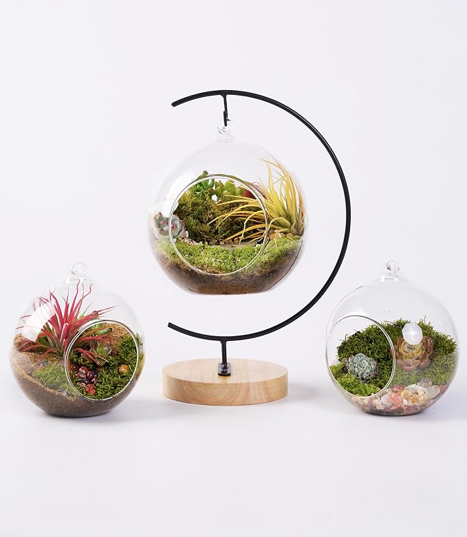LUCKYRUNES DIY Terrarium Kit - Image 9