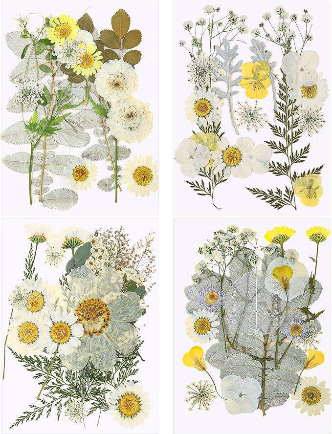 EBOOT 72 Pcs Dried Pressed Flowers by eBoot