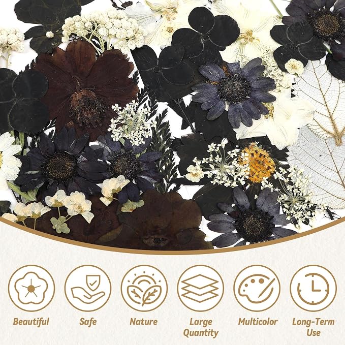 Augshy Black Dried Pressed Flowers, Scrapbooking, Soap Making - Image 4