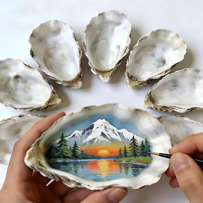 ZhenD 20Pcs 5"-6" Oyster Shells by Unknown