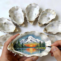 ZhenD 20Pcs 5"-6" Oyster Shells by Unknown