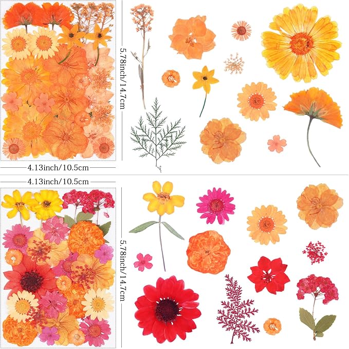 110Pcs Fall Dried Pressed Flowers - Image 2