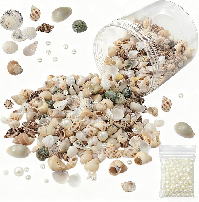 JSPYFITS 1200 PCS Sea Shells Small Mixed Beach Snail Seashells by JSPYFITS