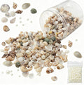 JSPYFITS 1200 PCS Sea Shells Small Mixed Beach Snail Seashells by JSPYFITS