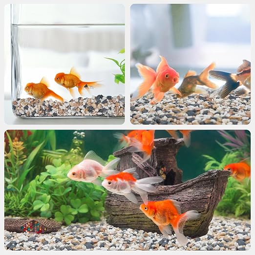 Pulovin 2.5 lbs Small Rocks for Plants, 1/5 Inch Pebbles for Indoor Plants - Image 7