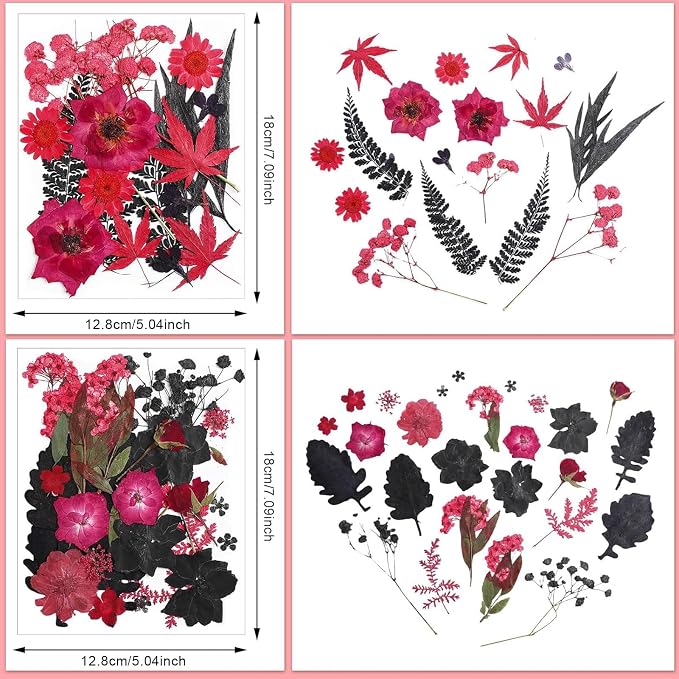 Nuanchu Black Red Dried Pressed Flowers - Image 3