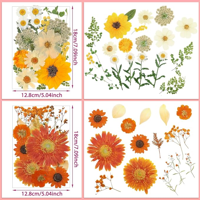 Nuanchu Dried Pressed Flowers Bulk - Image 4