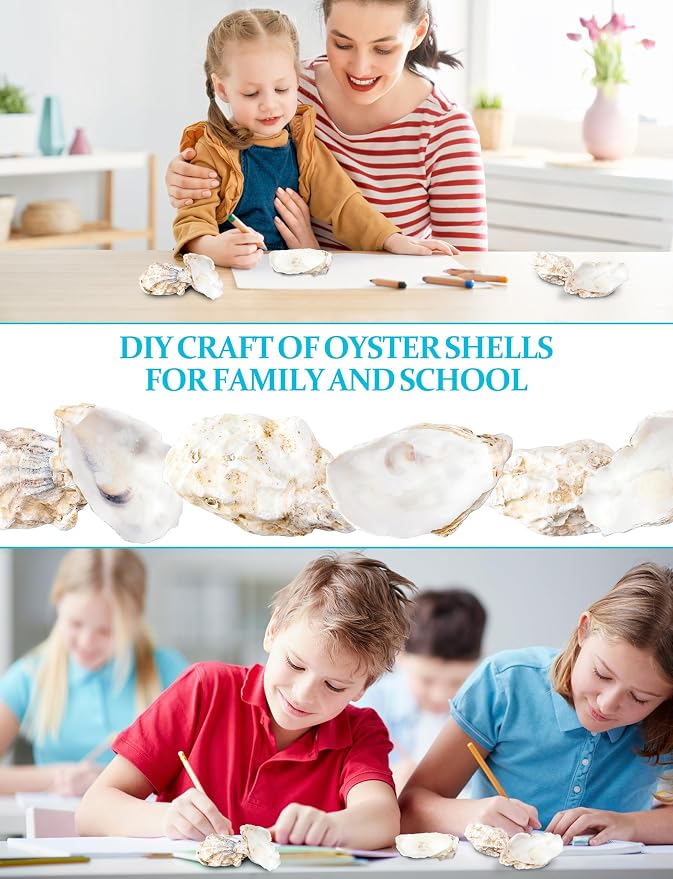 30Pcs Oyster Shells for Crafts， 4"-5" Large Oyster Shell for Crafts，Oyster - Image 2