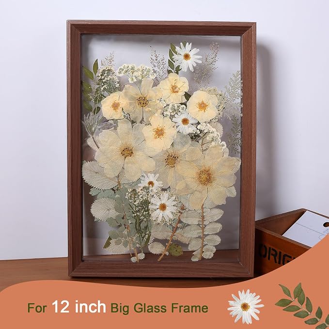 12“ Large Dried Pressed Flowers - Image 4