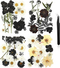 Nuanchu Black Dried Pressed Flowers by Nuanchu