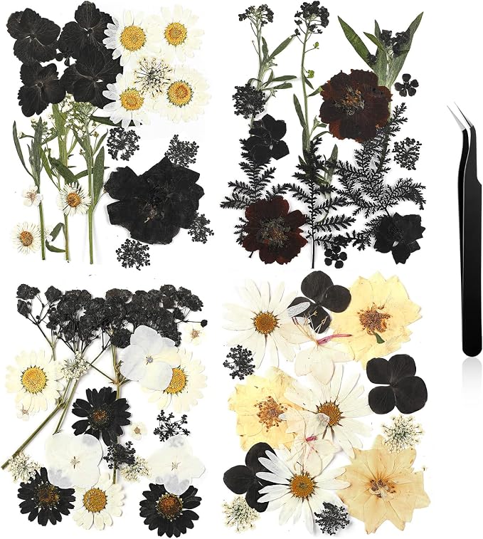 Nuanchu Black Dried Pressed Flowers by Nuanchu