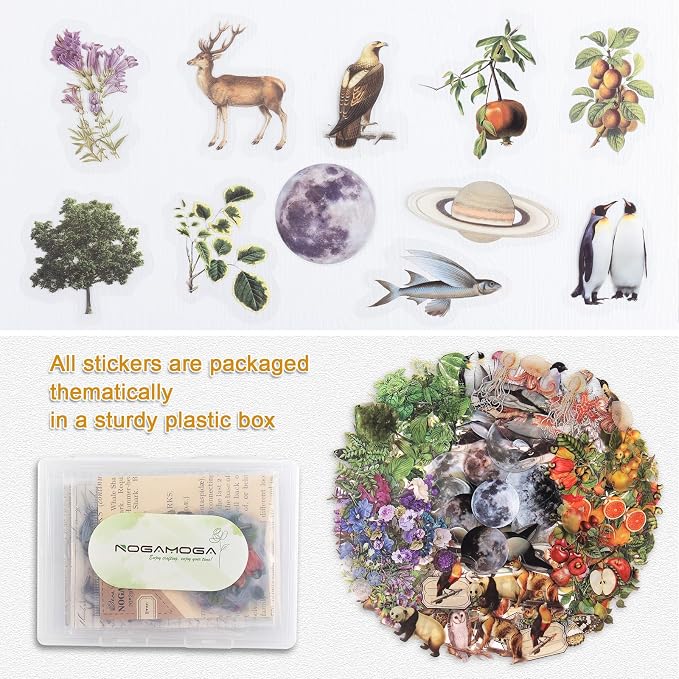 Nature Themed Transparent Pre-Cut Stickers - Image 5