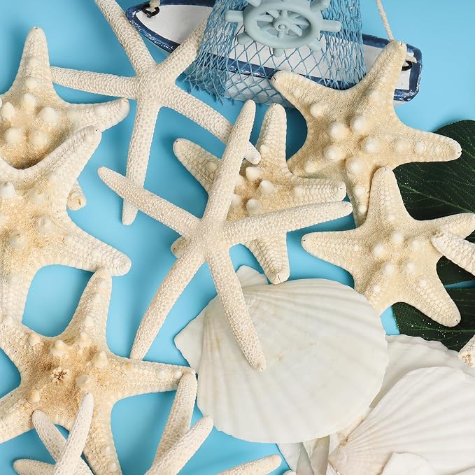 16 Pieces Starfish and Scallop Shells - Image 2