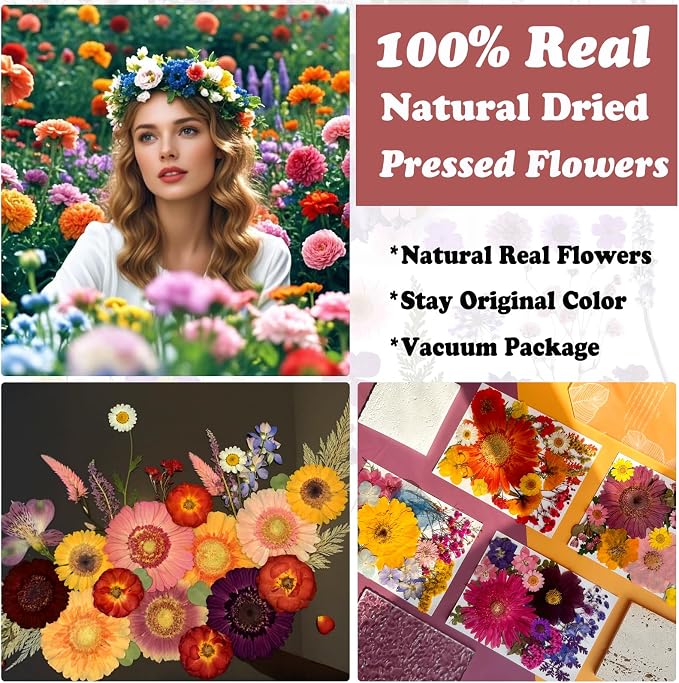 90Pcs Big Dried Pressed Flowers - Image 2