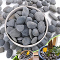 7LB River Rocks, Mexican Beach Pebbles by CJGQ