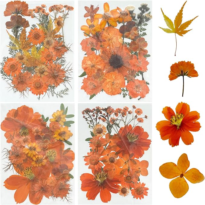 Woohome 4 Pack Dried Flowers for Resin Molds by Woohome