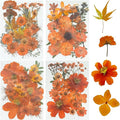 Woohome 4 Pack Dried Flowers for Resin Molds by Woohome