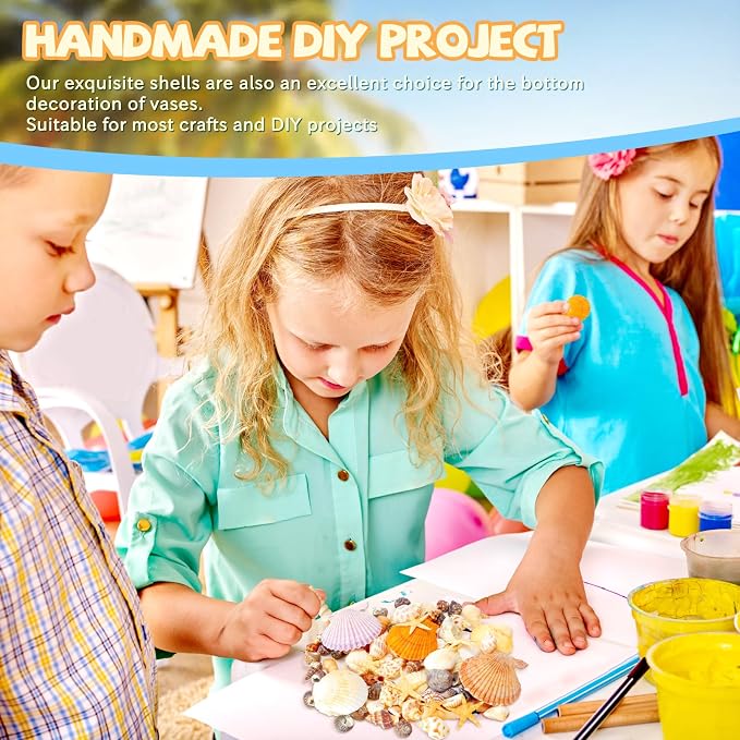 WEOXPR Mixed Sea Shells, 80+ Pcs Beach Seashells Starfish, Various Sizes Ocean - Image 6