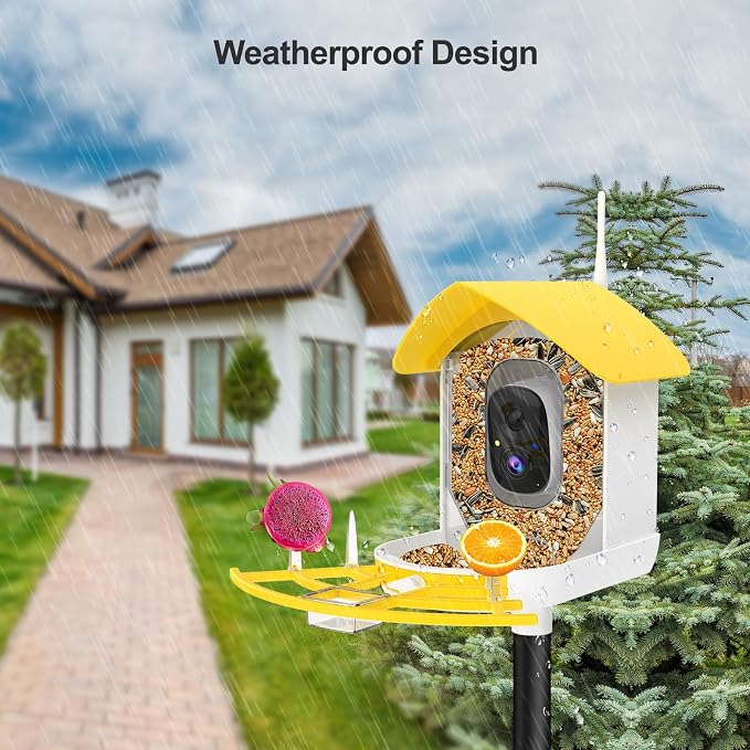 Smart Bird Feeder with Camera, Birds AI Identify, Motion Detection with - Image 4