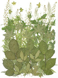 12“ Large Bulk Summer Dried Pressed Flowers by ZMRU