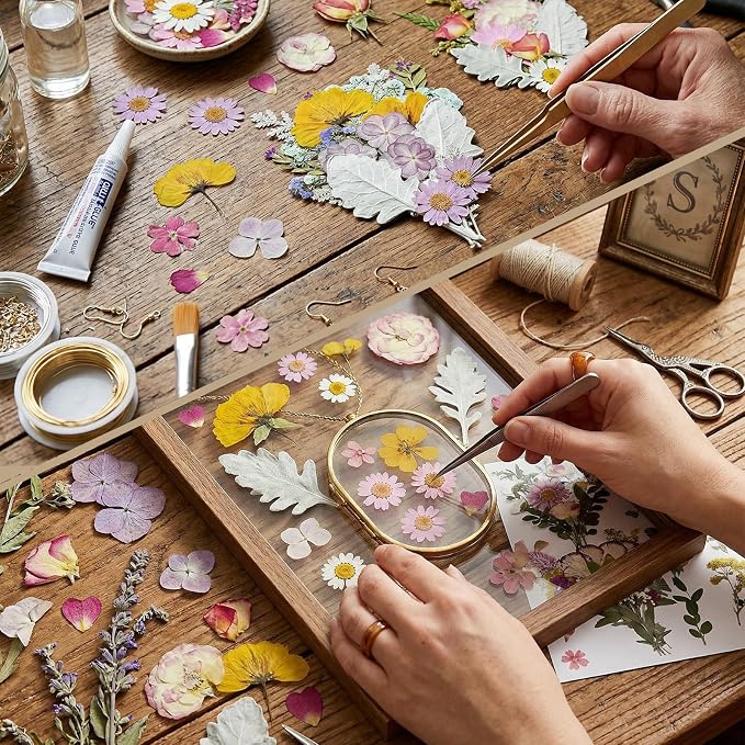 Dried Pressed Flowers Real Natural | Mixed Colors Flat Pressed Flowers - Image 4