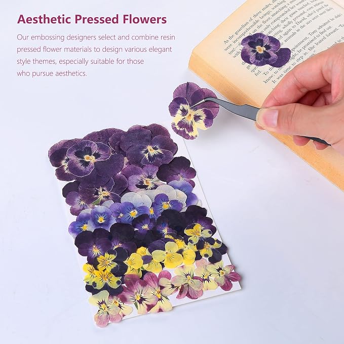 48 Pcs Mix Natural Dried Pressed Flowers - Image 6
