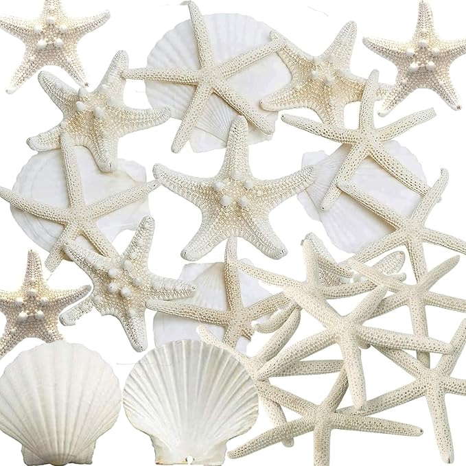 JQAQJU 32PCS Starfish and Scallop Shells by JQAQJU