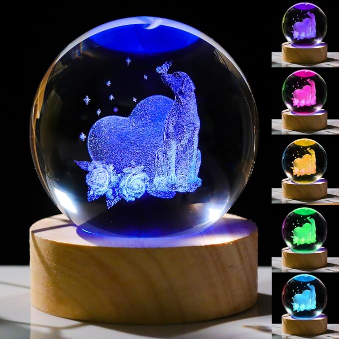 3D Labrador Gifts for Women by Unknown