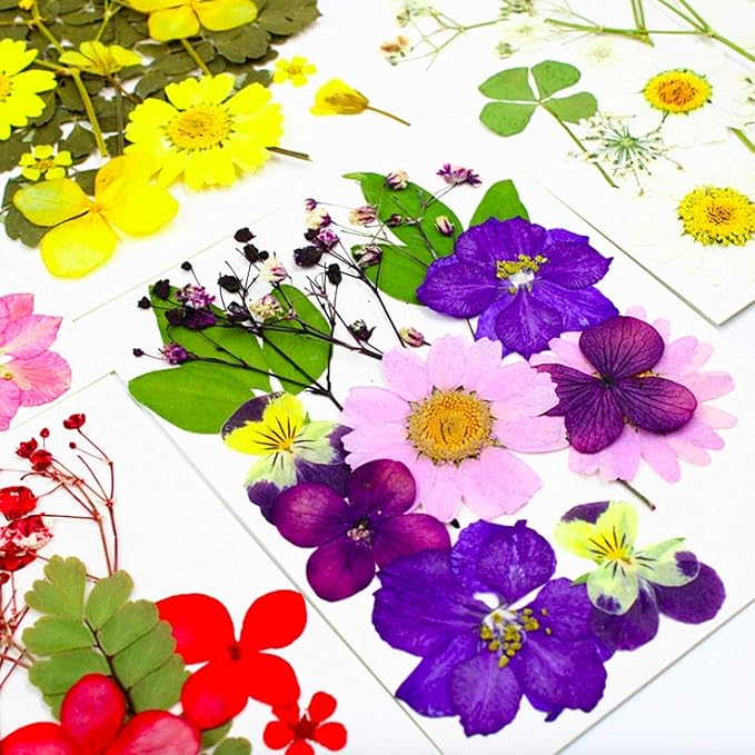 92 Pcs Purple Dried Pressed Flowers Real Natural Leave Petals - Image 3