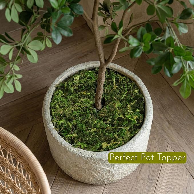 BYHER Fake Moss 4OZ - Image 7