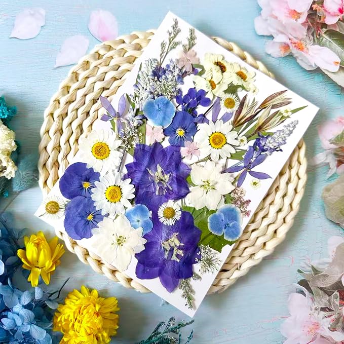 52 Pcs Blue Dried Pressed Flowers - Image 2