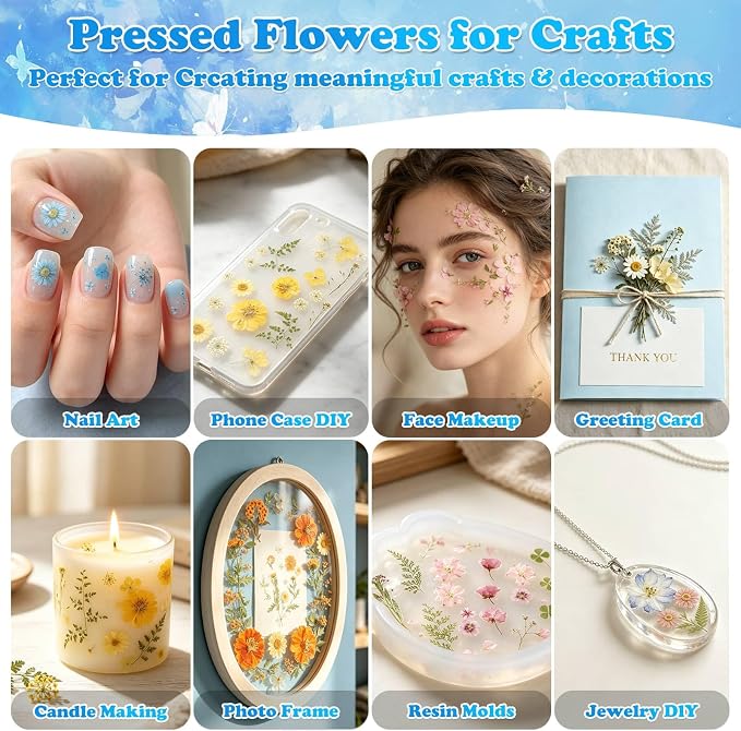 284 Pcs Dried Pressed Flowers - Image 7