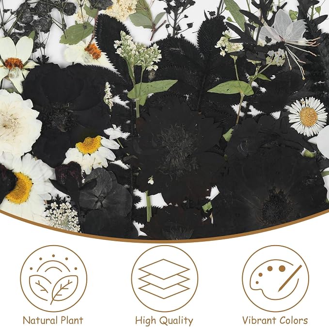 CCINEE 69Pcs Halloween Dried Pressed Flowers - Image 3