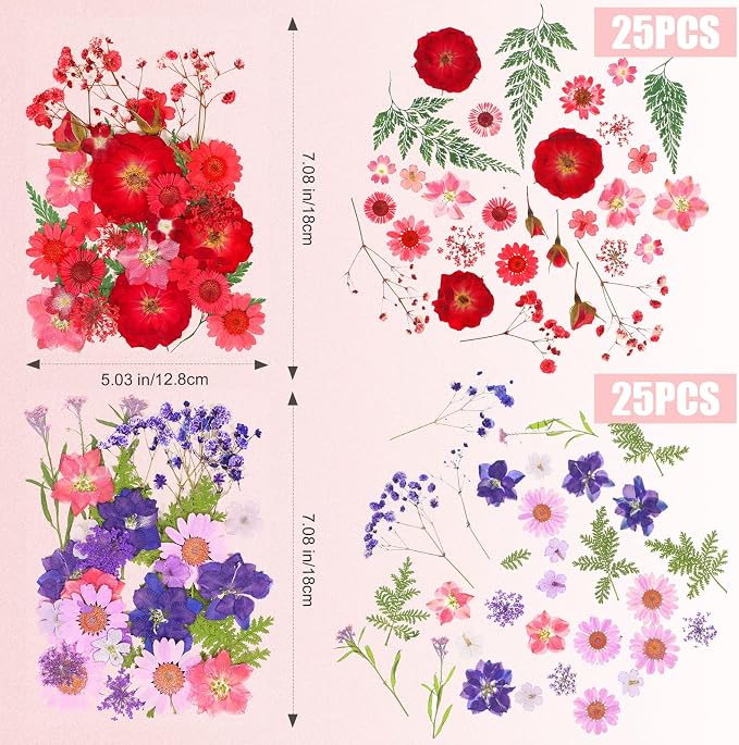 100 Pieces Dried Pressed Flowers - Image 6