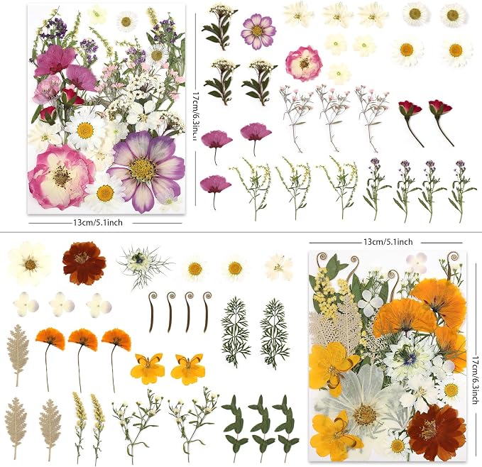 LUXEEASE 4 Color 120P Mixed Blooms Dried Pressed Flowers | Big small blooms - Image 2