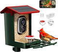 Smart Bird Feeder with Camera Solar Powered, 2K HD Video, AI Bird Species by Heapets