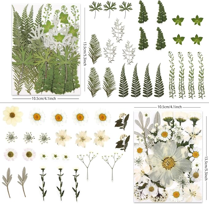 LUXEEASE 100P White Foliage Mix Dried Pressed Flowers | Blooms - Image 3