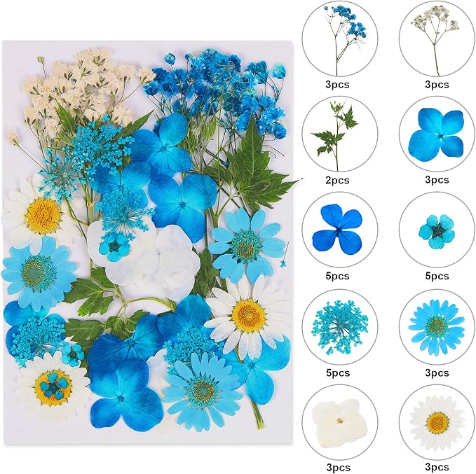 Augshy Blue Dried Pressed Flowers by Augshy