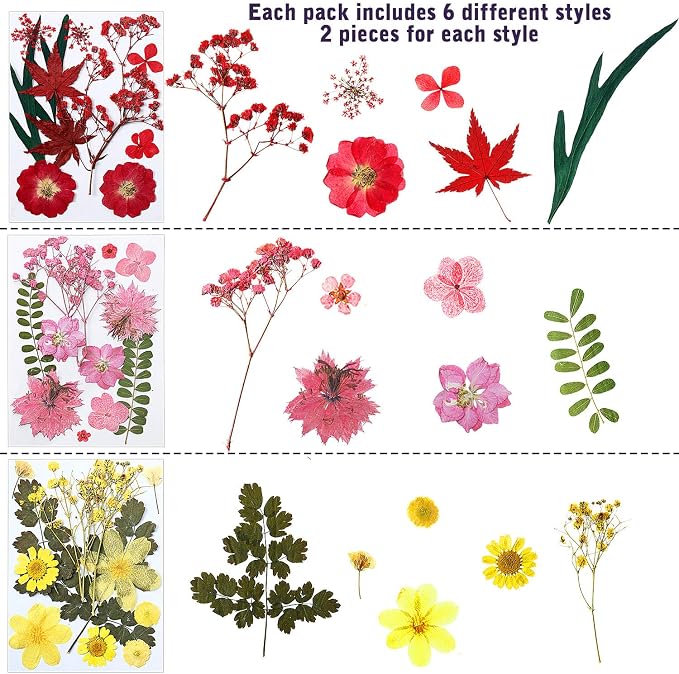 eBoot 72 Pcs Dried Pressed Flowers - Image 2